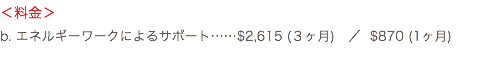 ＜料金＞ b. エネルギーワークによるサポート……$2,615 (３ヶ月) ／ $870 (1ヶ月) 